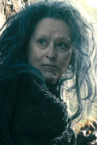 Into the Woods [Meryl Streep]